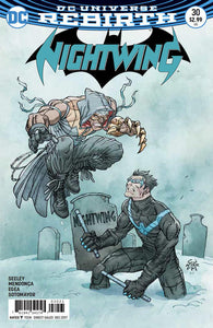 Nightwing Vol. 4 - 030 Alternate