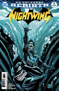 Nightwing Vol. 4 - 031 Alternate