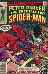 Spectacular Spider-Man - 011 - Fine