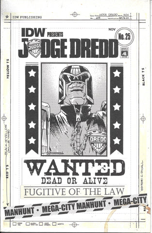 Judge Dredd Vol. 2 - 025 Alternate