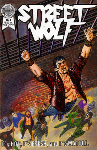 Street Wolf #3 by Blackthorne Comics