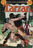Tarzan #217 by DC Comics - Fine