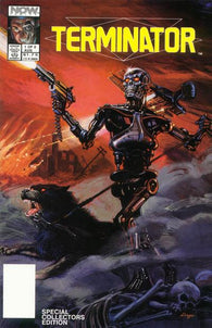 Terminator All My Futures Past #1 by Now Comics