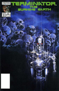 Terminator Burning Earth #4 by Now Comics