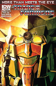 Transformers More Than Meets The Eye #20 by IDW Comics