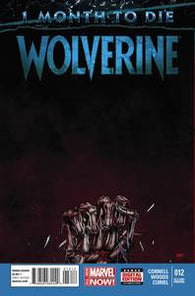 Wolverine #12 by Marvel Comics
