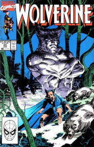 Wolverine #25 by Marvel Comics