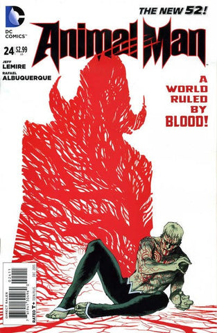 Animal Man #24 by Vertigo Comics