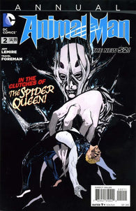 Animal Man Annual #2 by Vertigo Comics