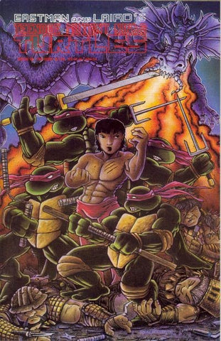 Teenage Mutant Ninja Turtles - 018
