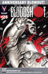 Bloodshot #25 by Valiant Comics