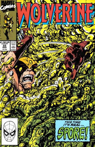 Wolverine #22 by Marvel Comics