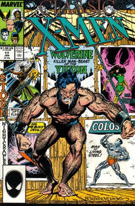 Classic X-Men #17 by Marvel Comics