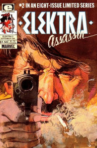Elektra Assassin - 02