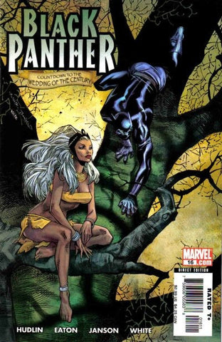 Black Panther #16 by Marvel Comics