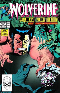Wolverine Vol. 2 - 011