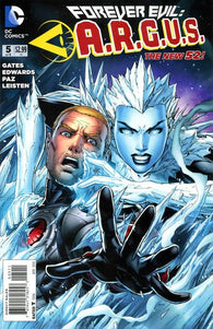 Forever Evil Argus #5 by DC Comics