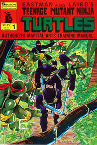 Teenage Mutant Ninja Turtles Martial Arts Training Manual - 01