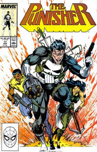 Punisher #17 by Marvel Comics