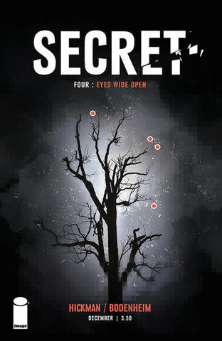 Secret #4 by Image Comics