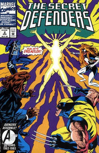 Secret Defenders #2 by Marvel Comics