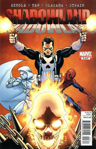 Daredevil Shadowland #3 by Marvel Comics