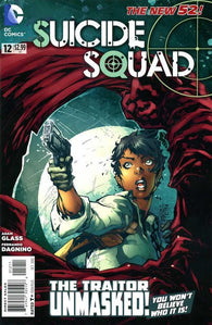 Suicide Squad #12 by DC Comics