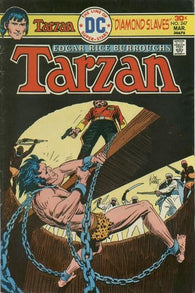 Tarzan #247 by DC Comics