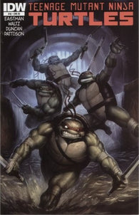 Teenage Mutant Ninja Turtles #10 by IDW Comics