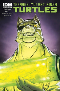 Teenage Mutant Ninja Turtles #38 by IDW Comics