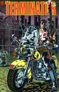 Terminator #2 by Dark Horse Comics