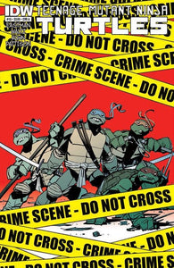 Teenage Mutant Ninja Turtles #15 by IDW Comics