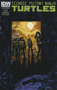 Teenage Mutant Ninja Turtles #29 by IDW Comics