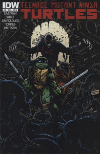 Teenage Mutant Ninja Turtles #36 by IDW Comics