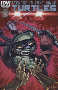 Teenage Mutant Ninja Turtles #36 by IDW Comics