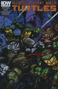 Teenage Mutant Ninja Turtles #40 by IDW Comics