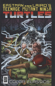 Teenage Mutant Ninja Turtles Color Classics #9 by IDW Comics